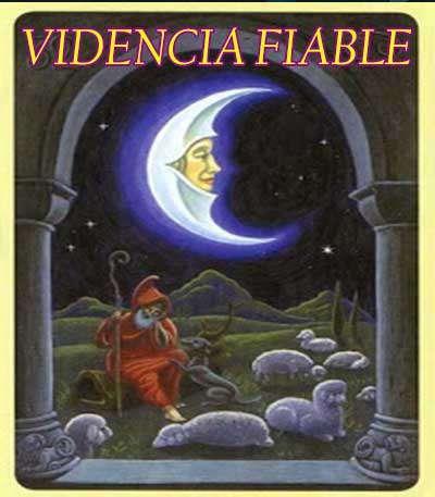 videncia fiable